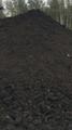 Продам торфогрунт  Шушары