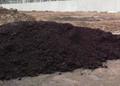 Чернозём, продажа и доставка любой партии