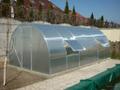 Теплица из поликарбоната по сниженной цене