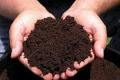 Торф, земля, почва смесь.