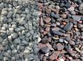Щебень гравийный, известковый, гранитный