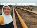 Услуги/Аренда Мульчера. Комплексная расчистка с/х полей. Валка леса. Мульчер бульдозер ООО «Кочевник»