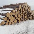 Закупаю кругляк лес пиловочник диаметр от 23 и выше зиленка.