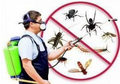 Дезинсекция. дератизация дезинфекция Дезодорация в Саратове